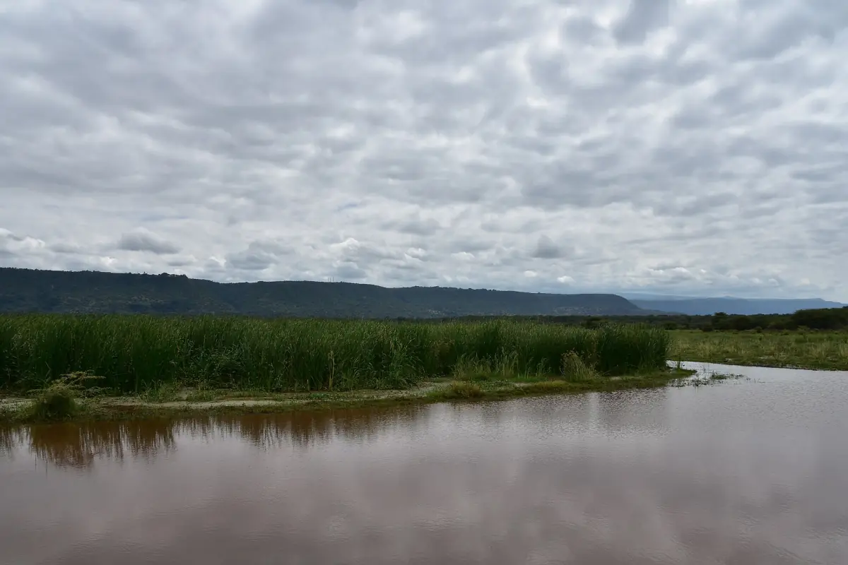 Ein von Schilf gesäumter Fluss unter dem Steilhang